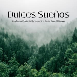 Dulces Sueños: Una Forma Relajante De Tomar Una Siesta Junto Al Bosque - Academia de Música con Sonidos de la Naturaleza