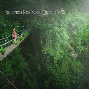 Relieving Rain Noise Therapy Vol. 1 - The Rain Factory