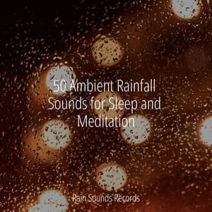 50 Ambient Rainfall Sounds for Sleep and Meditation - Sonidos De Lluvia y Tormentas