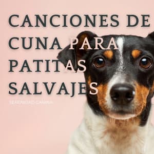 Canciones De Cuna Para Patitas Salvajes: Serenidad Canina - Camino a lo salvaje