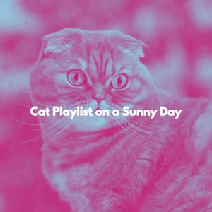 Cat Playlist on a Sunny Day - Soft Jazz Projects