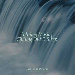 Calming Music | Chilling Out & Sleep - Musica Romantica