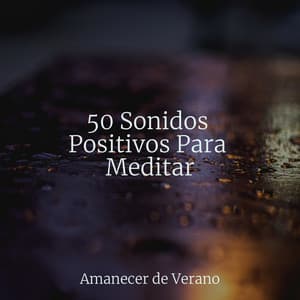 50 Sonidos Positivos Para Meditar - Musica Relajante