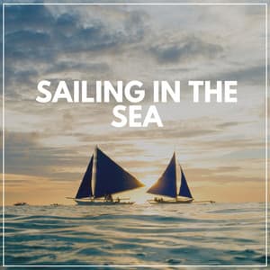 Sailing in the Sea - Wave Sound Group