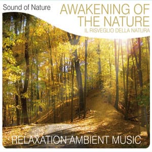 Awakening of the Nature - Sound of Nature Band