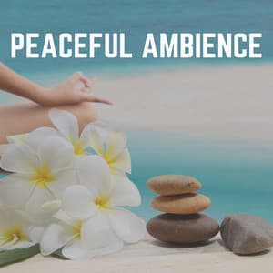 Peaceful Ambience - Background Music Specialists