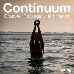 Continuum - Ernst Reijseger