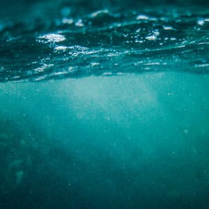 8AM Meditation: Floating Serenity - Coastal Sounds