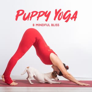 Puppy Yoga & Mindful Bliss - Mindfulness Meditation Universe
