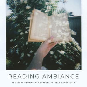 Reading Ambiance: The Ideal Stormy Atmosphere To Read Peacefully - Reading Music