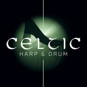 Celtic Harp & Drum: Stress and Anxiety Relief, Soothing Celtic Music for Meditation, Relaxing Atmosphere - Spiritual Development Academy