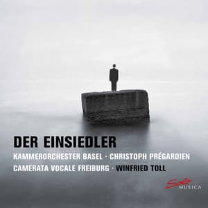 Der Einsiedler - Kammerorchester Basel