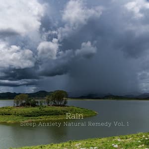 Rain: Sleep Anxiety Natural Remedy Vol. 1 - 741Hz Energy Orbiting Manifest Healing