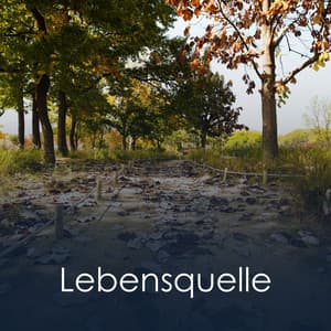 Lebensquelle - Meditation Einschlafen