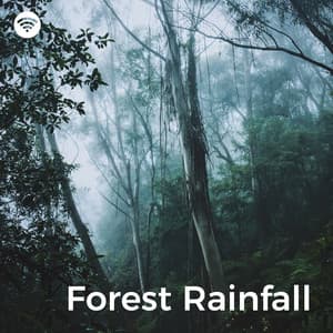 Forest Rainfall: Nature's Embrace - Rain Sounds Nature Collection