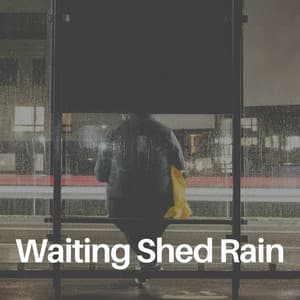 Waiting Shed Rain - Rain FX