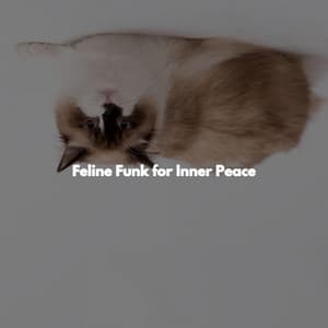 Feline Funk for Inner Peace - Mellow Sunday Morning Music