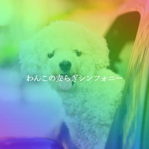 わんこの安らぎシンフォニー - Study Playlist