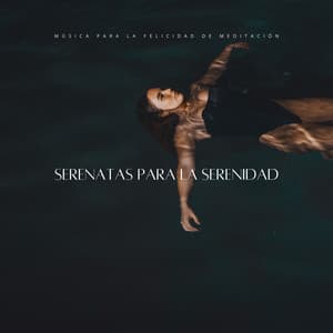 Serenatas Para La Serenidad: Música Para La Felicidad De Meditación - Sonidos de paz