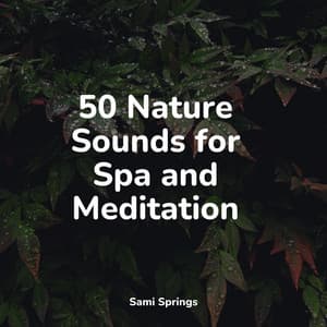 50 Nature Sounds for Spa and Meditation - Deep Horizon Waves
