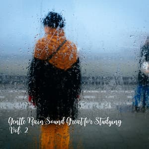 Gentle Rain Sound Great for Studying Vol. 2 - Binaural Beats Deep Sleep