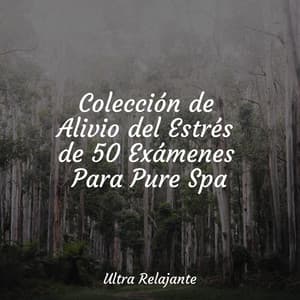 Colección de Alivio del Estrés de 50 Exámenes Para Pure Spa - Naturaleza Relajacion