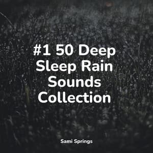 #1 50 Deep Sleep Rain Sounds Collection - Yoga Trainer