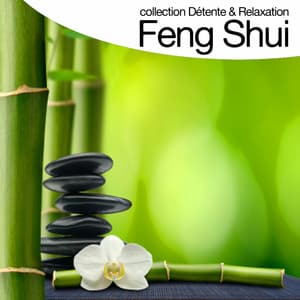 Feng Shui - Relaxation Big Band