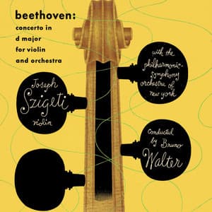 Concerto in D Major for Violin and Orchestra - Ludwig van Beethoven