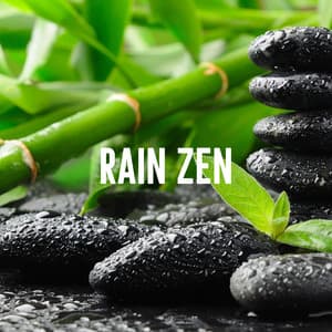 Rain Zen - Nature Sounds Lab