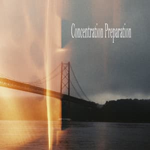 Concentration Preparation - Sleeping Music
