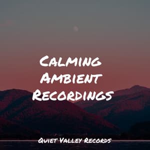 Calming Ambient Recordings - Soothing White Noise for Infant Sleeping and Massage