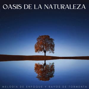 Oasis De La Naturaleza: Melodía De Enfoque Y Rayos De Tormenta - Tormentas Naturales