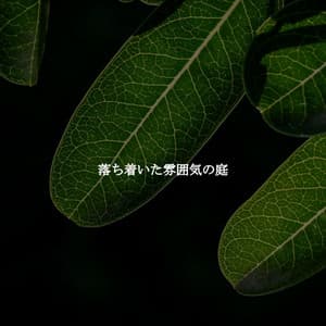 落ち着いた雰囲気の庭 - Música de la Oficina