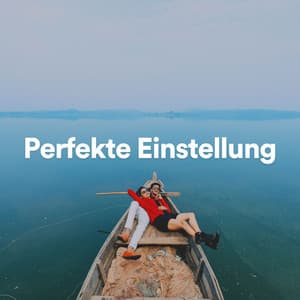 Perfekte Einstellung - Entspannungsmusik Abteilung
