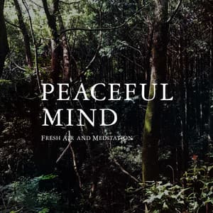 Peaceful Mind - Fresh Air and Meditation