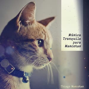 Música Tranquila para Mascotas - Thiago Mascotas