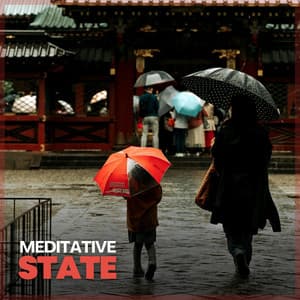 Meditative State - Pro Sound Effects Library