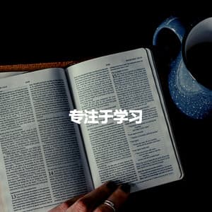 专注于学习 - Date Night Chill Out Playlist