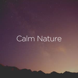 Calm Nature - Sounds of the Forest