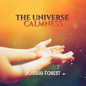 The Universe Calmness - Joshua Forest