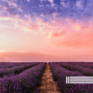 Calm Music For Deep Sleep - Meditative Ambient