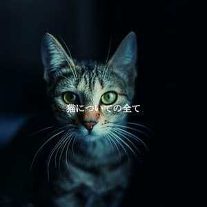 猫についての全て - Agradable Musica para Leer