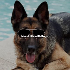 Island Life with Dogs. - Cool Jazz Lounge