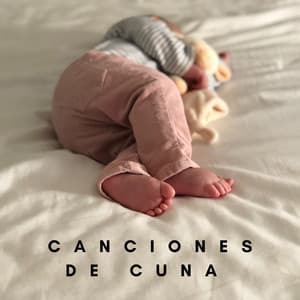 Canciones De Cuna: Dulces Sueños Bebé - Música Clásica Bebés