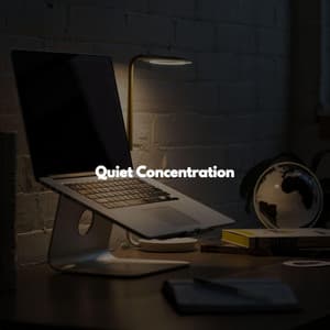 Quiet Concentration - Musica Rilassante & Benessere