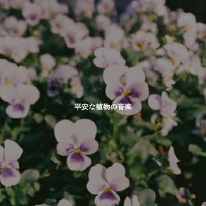 平安な植物の音楽 - Romantic Slow Jazz