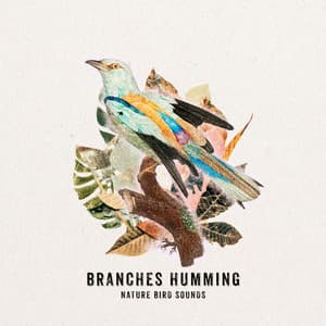 Branches Humming - Nature Bird Sounds