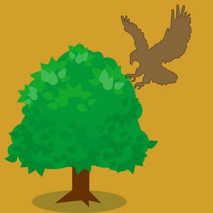 Bossa Guitars - Background Music for Mystical November - Ruhige Musik