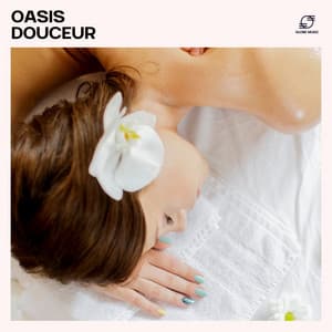Oasis Douceur: Musique Spa Massage - Spa Musique Massage